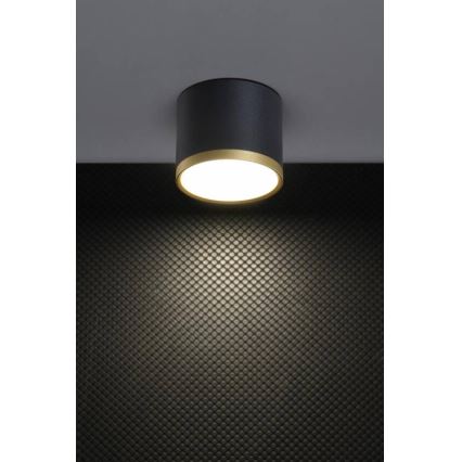 LED lubų šviestuvas TUBA LED/9W/230V juodas/auksinis