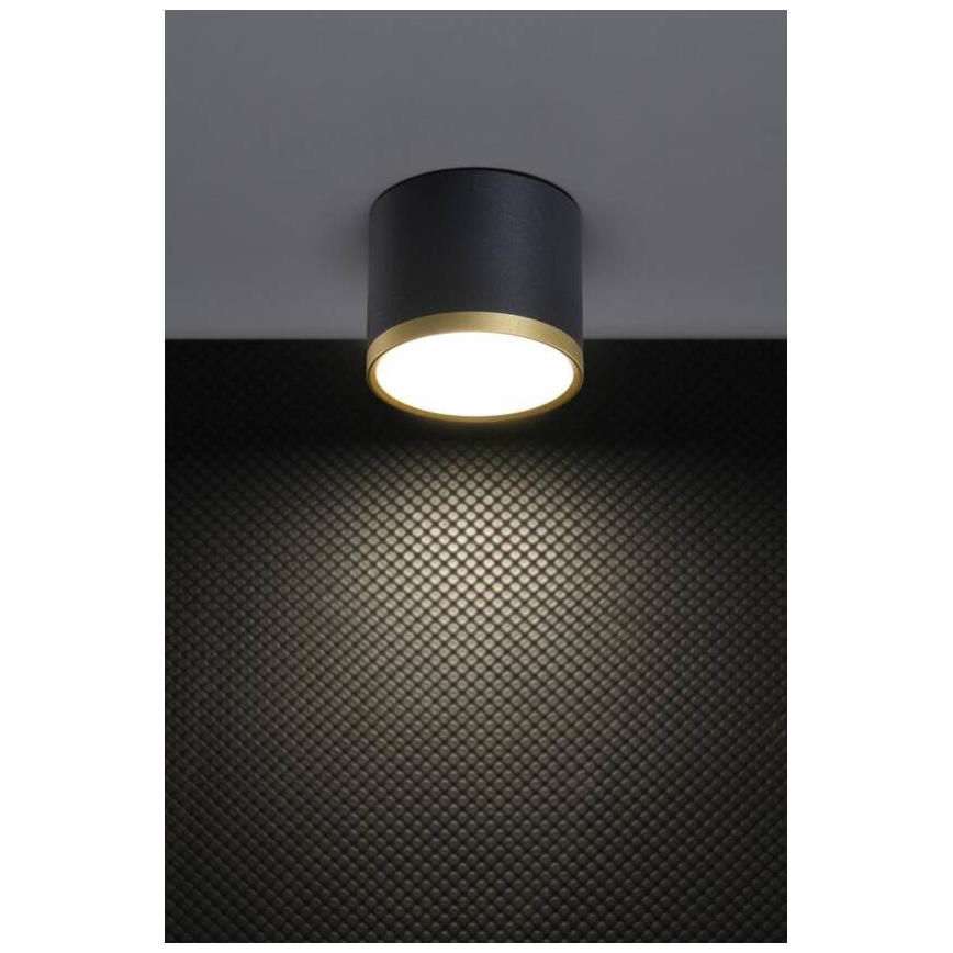 LED lubų šviestuvas TUBA LED/9W/230V juodas/auksinis