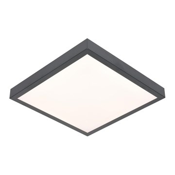 LED Lubų šviestuvas VITALI LED / 24W / 230V