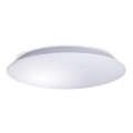 LED Lubų vonios kambario šviestuvas AVESTA LED/18W/230V 4000K IP54