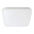 LED Lubų vonios kambario šviestuvas SAMSUNG CHIP LED/48W/230V IP44 3000K 42x42 cm baltas