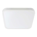 LED Lubų vonios šviestuvas SAMSUNG CHIP LED/24W/230V IP44 6500K 29x29 cm baltas