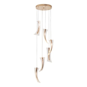 LED Pakabinamas sietynas FIRENZE 6xLED/10W/230V 3000K