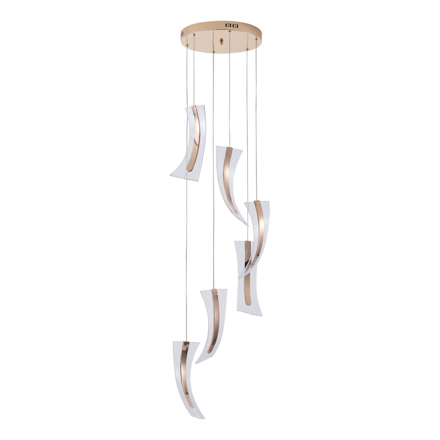 LED Pakabinamas sietynas FIRENZE 6xLED/10W/230V 3000K