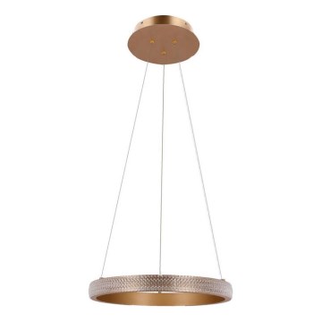 LED Pakabinamas sietynas HASHIM LED/22W/230V diametras 40 cm varis