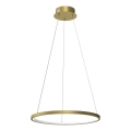 LED Pakabinamas sietynas HOOP LED/27W/230V diametras 50 cm 4000K auksas