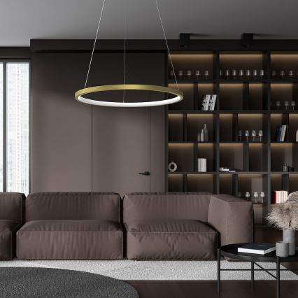 LED Pakabinamas sietynas HOOP LED/27W/230V diametras 50 cm 4000K auksas