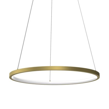 LED Pakabinamas sietynas HOOP LED/27W/230V diametras 50 cm 4000K auksas