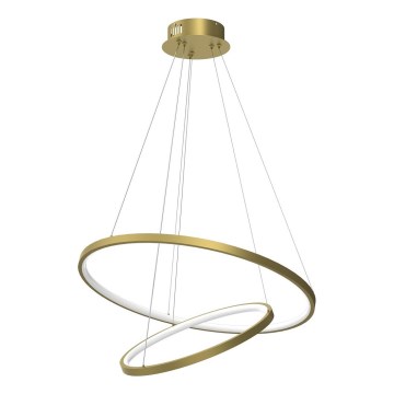 LED Pakabinamas sietynas HOOP LED/51W/230V diametras 60 cm 4000K auksas