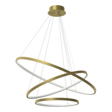 LED Pakabinamas sietynas HOOP LED/93W/230V diametras 80 cm 4000K auksas