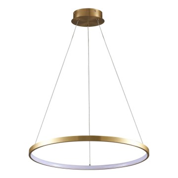 LED Pakabinamas sietynas LEA LED/20W/230V 4000K diametras 50 cm auksas