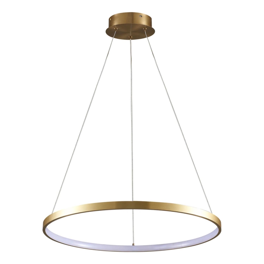 LED Pakabinamas sietynas LEA LED/20W/230V 4000K diametras 50 cm auksas