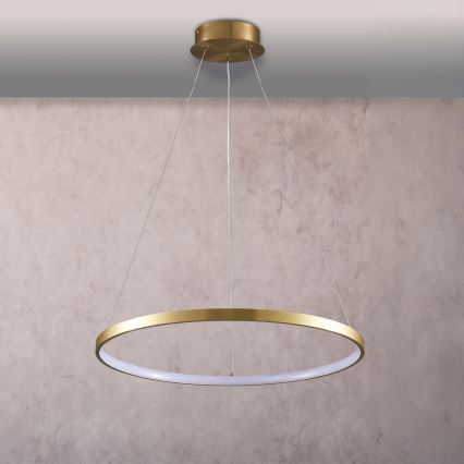 LED Pakabinamas sietynas LEA LED/20W/230V 4000K diametras 50 cm auksas