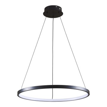 LED Pakabinamas sietynas LEA LED/20W/230V 4000K diametras 50 cm juoda