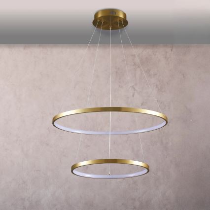 LED Pakabinamas sietynas LEA LED/35W/230V 4000K diametras 60 cm auksas