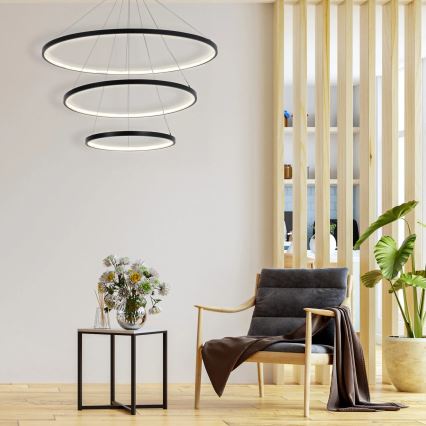 LED Pakabinamas sietynas LEA LED/60W/230V 4000K diametras 80 cm juoda