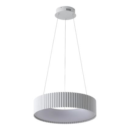 LED Pakabinamas sietynas LED/30W/230V 3000K balta