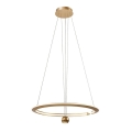 LED Pakabinamas sietynas LED/45W/230V 3000K diametras 62 cm auksas