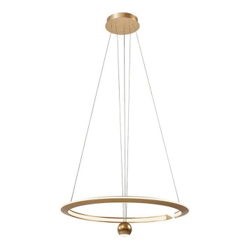 LED Pakabinamas sietynas LED/45W/230V 3000K diametras 62 cm auksas