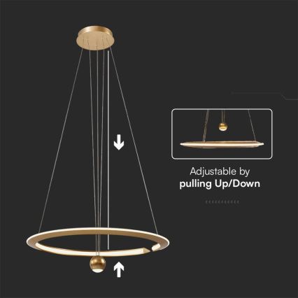 LED Pakabinamas sietynas LED/45W/230V 4000K diametras 62 cm auksas