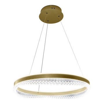 LED Pakabinamas sietynas LED/52W/230V diametras 60 cm auksas
