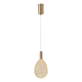 LED Pakabinamas sietynas LED/6,3W/230V 3000K auksas diametras 14 cm