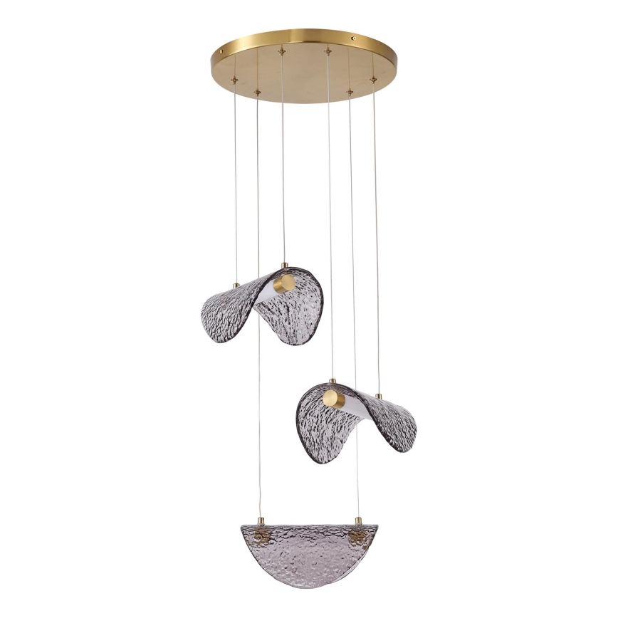 LED Pakabinamas sietynas LED/6W/230V 3000K