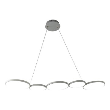LED Pakabinamas sietynas OLYMPIA 5xLED/10W/230V pilka