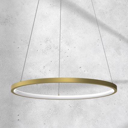 LED Pakabinamas sietynas ROTONDA LED/27W/230V aukso