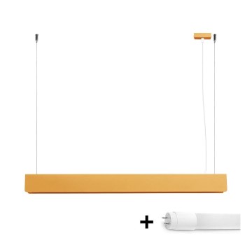 LED Pakabinamas sietynas SPARK 1xG13/8,5W/230V auksas