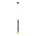 LED Pakabinamas sietynas TUBA 1xGU10/20W/230V pilkas