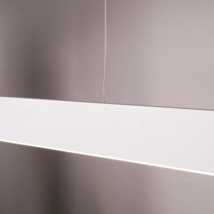 LED pakabinamas šviestuvas ant laido BERNADETTA LED/20W/230V 4000K balta