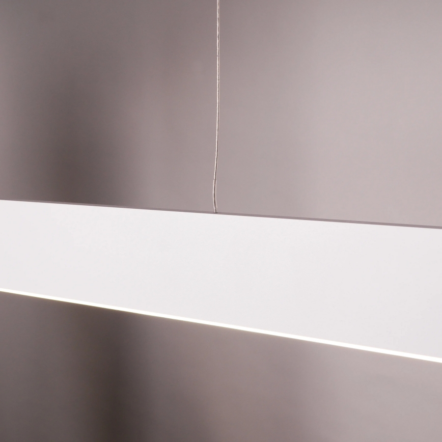 LED pakabinamas šviestuvas ant laido BERNADETTA LED/20W/230V 4000K balta