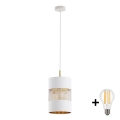 LED pakabinamas šviestuvas ant laido BOGART 1xE27/15W/230V balta/auksinė