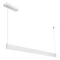 LED pakabinamas šviestuvas ant laido LINEA LED/36W/230V 3000/4000/5700K CRI 90 balta