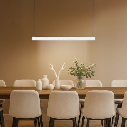 LED pakabinamas šviestuvas ant laido LINEA LED/36W/230V 3000/4000/5700K CRI 90 balta