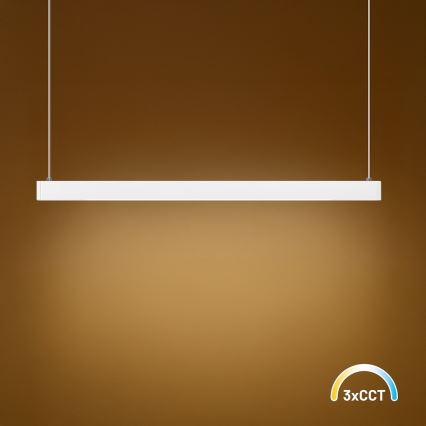 LED pakabinamas šviestuvas ant laido LINEA LED/36W/230V 3000/4000/5700K CRI 90 balta