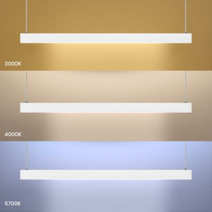 LED pakabinamas šviestuvas ant laido LINEA LED/36W/230V 3000/4000/5700K CRI 90 balta