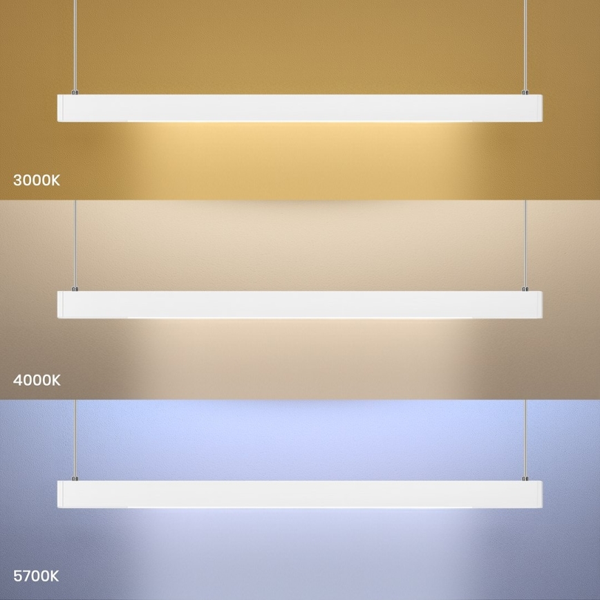 LED pakabinamas šviestuvas ant laido LINEA LED/36W/230V 3000/4000/5700K CRI 90 balta