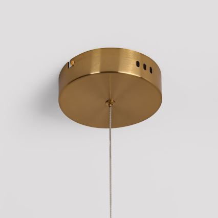 LED pakabinamas šviestuvas ant laido MELECA LED/24W/230V 3000/4000/6000K 100 cm auksinis