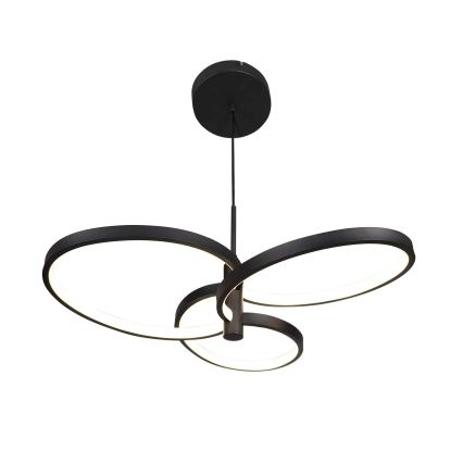 LED pakabinamas šviestuvas ant laido RIBBON, 25 W, 230 V, 4000 K, juodas