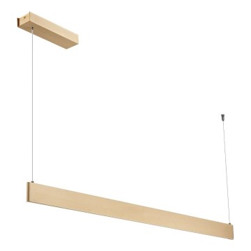 LED pakabinamas šviestuvas ant troso LINEA LED/36W/230V 3000/4000/5700K CRI 90 auksinis