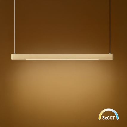 LED pakabinamas šviestuvas ant troso LINEA LED/36W/230V 3000/4000/5700K CRI 90 auksinis