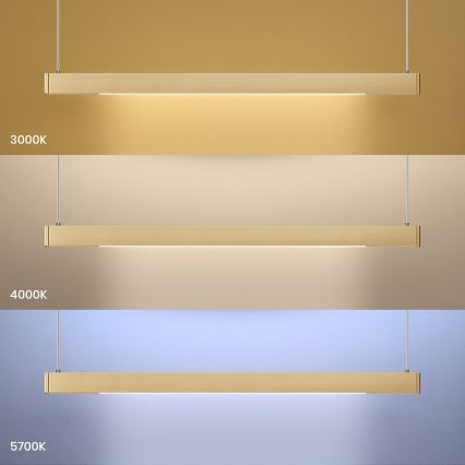 LED pakabinamas šviestuvas ant troso LINEA LED/36W/230V 3000/4000/5700K CRI 90 auksinis