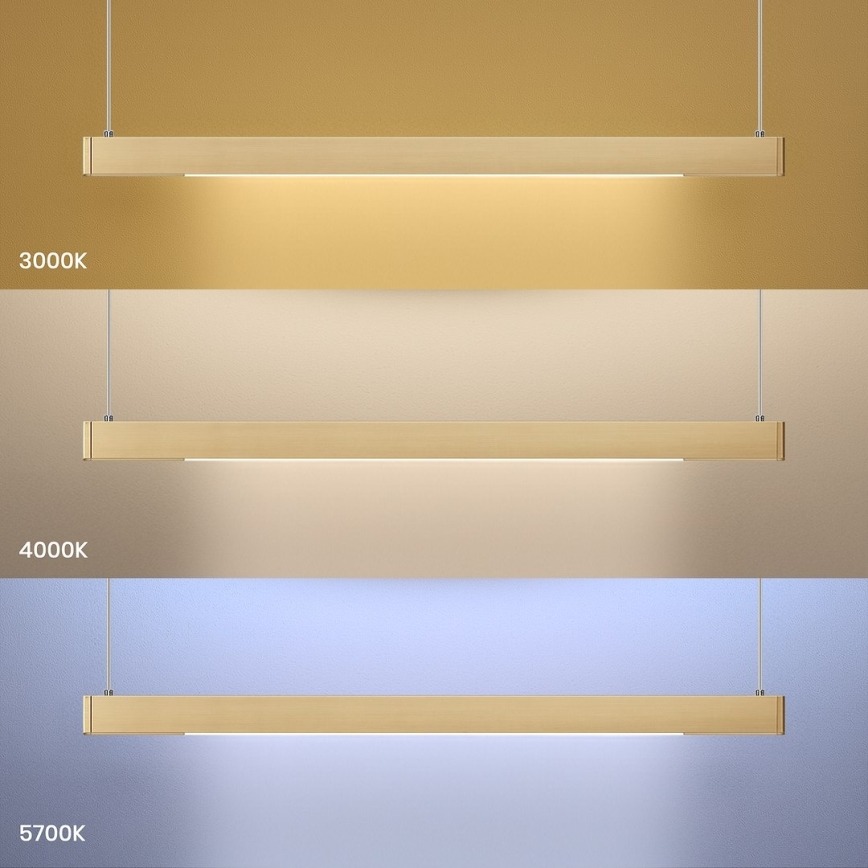LED pakabinamas šviestuvas ant troso LINEA LED/36W/230V 3000/4000/5700K CRI 90 auksinis