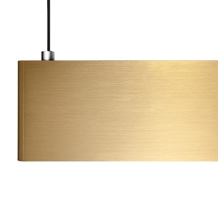 LED pakabinamas šviestuvas ant troso LINEA LED/36W/230V 3000/4000/5700K CRI 90 auksinis