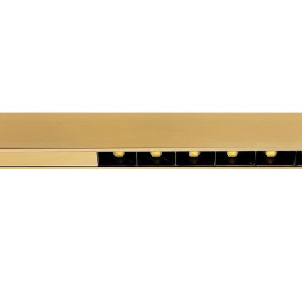 LED pakabinamas šviestuvas ant troso LINEA LED/36W/230V 3000/4000/5700K CRI 90 auksinis