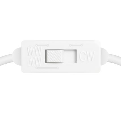 LED pakabinamas šviestuvas ant troso LINEA LED/36W/230V 3000/4000/5700K CRI 90 auksinis