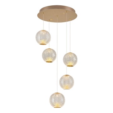LED pakabinamas šviestuvas CREMONA 5xLED/5W/230V 3000K auksinis