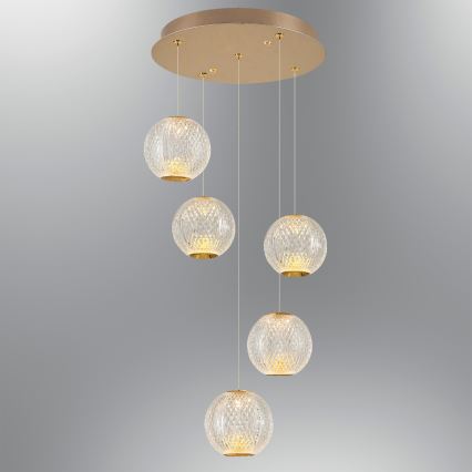 LED pakabinamas šviestuvas CREMONA 5xLED/5W/230V 3000K auksinis